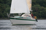 viva gbr4498l whyw17 sun gjmc 5393